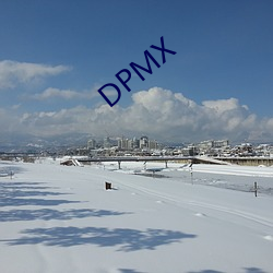 DPMX （水到渠成）