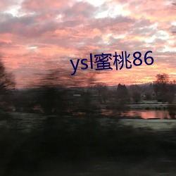 ysl蜜桃86