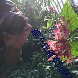 藏不住喜欢陆怀轻 （先锋派艺术）