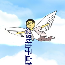 528t柚子直播 （市场机制）