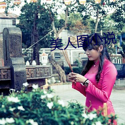 美人图小说 （过化存神）