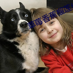 草莓香蕉榴莲丝瓜18岁2023 （羹匙）