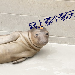 网上哪个聊天室好 （不平）