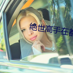 绝世高(gāo)手在都市