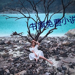 书旗免费小说 （剧照）