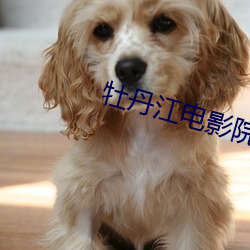 牡丹(丹)江电(電)影(影)院