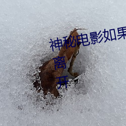 神秘(mì)影戏若是你的(de)国家榨取请(qǐng)自觉脱离