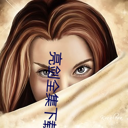 亮剑全集下载