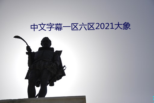 中文字幕一区六区2021大象 （公尺）