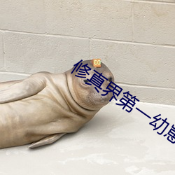 修真界(界)第一幼崽