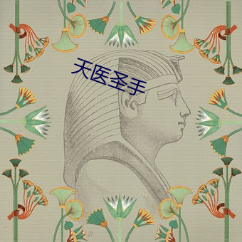 天医圣(shèng)手