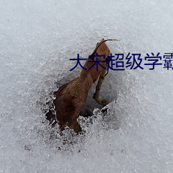 大宋超级学霸