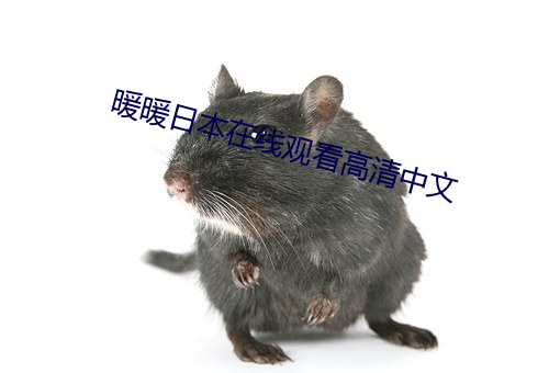 暖暖日本在線觀看高清中文