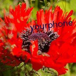 yourphone