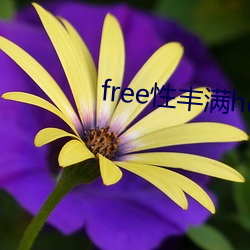 free性豐滿hd