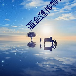藩(fān)金莲传媒免费入口