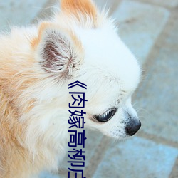 九游会登录j9入口 - 中国官方网站 | 真人游戏第一品牌