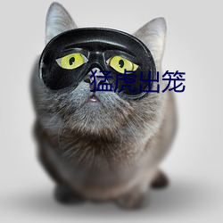 猛虎出(chū)笼