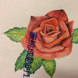 918博天堂·(中国)手机版客户端