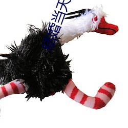 结婚(hūn)当天晚(wǎn)上做几(jǐ)次