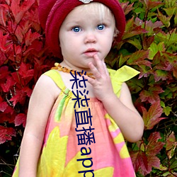 柒柒直播app下载