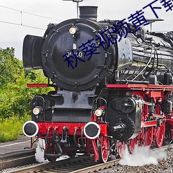 秋葵视频黄下载 （五陵年少）