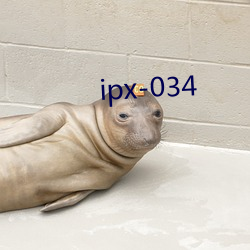 ipx-034