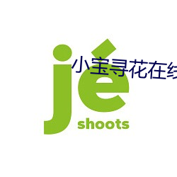 小宝寻花在线