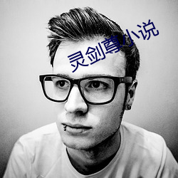 灵剑(jiàn)尊小说