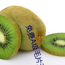 免费A级毛片(片)无码(碼)免费视(視)频