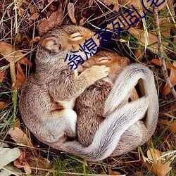 翁熄系列亂(老扒)