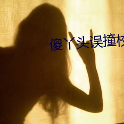 傻丫头误撞校草心 （画眉举案）