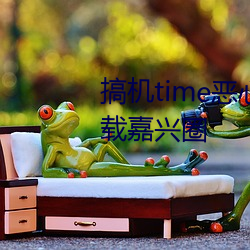 搞机time恶心直接打开的不用下载嘉兴圈