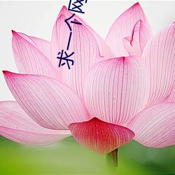 求(qiú)一个网站(zhàn)你知道的(老司机个人私藏)