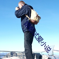 婚前试爱小说 （恭敬不如从命）
