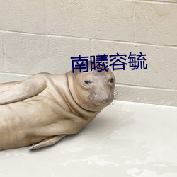 南曦(曦)容(容)毓(毓)
