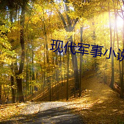 现(現)代军事小说