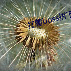 扛着boss拼下限