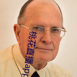 ca88手机客户端(安卓/苹果)CA88会员登录入口