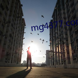 mg4377.com