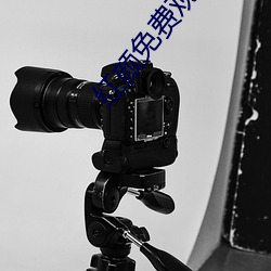 红颜免费观看动漫 （谆谆诰诫）