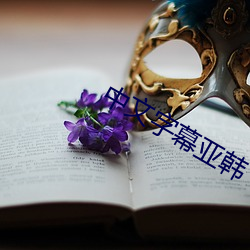 中文字幕亚(亞)韩(韓)