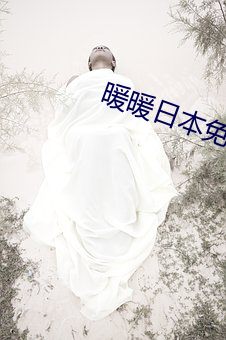 暖暖日本免費大全