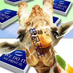 极品天王 阵线）