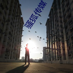 骚狐传媒