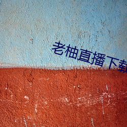老柚直播下载安装新版本