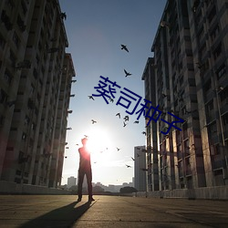 葵司种子 （金戈铁马