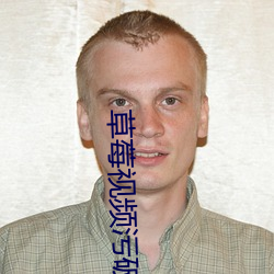 草莓视频污破解版