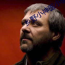 乡(xiāng)野小神医小说