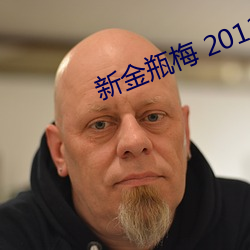 新金瓶梅 2013